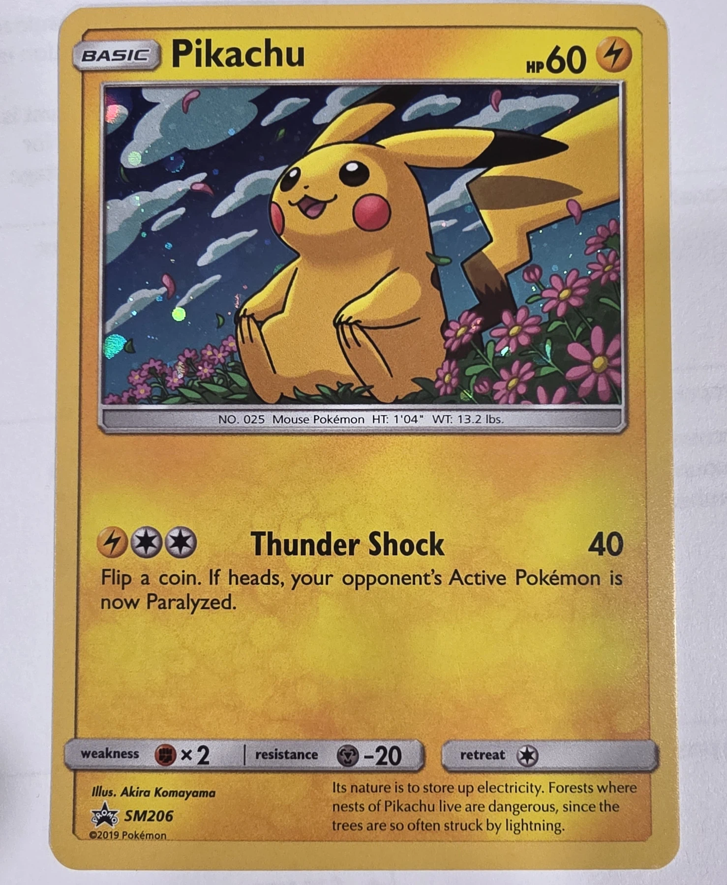 Pikachu SM206/248 SM Black Star Promos front card photo in GradeValue pregrading report