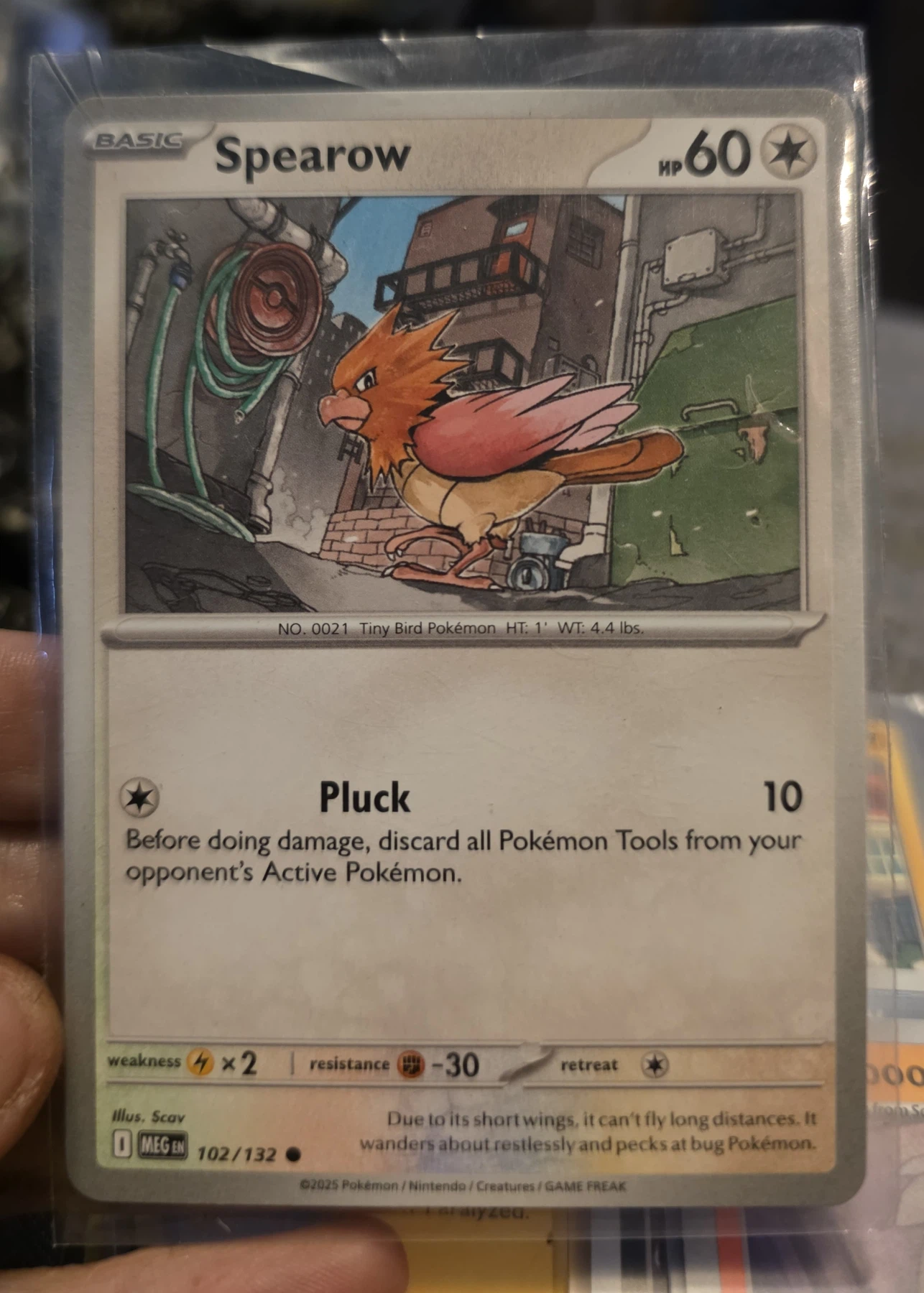 Spearow 102/132 Mega Evolution front card photo in GradeValue pregrading report