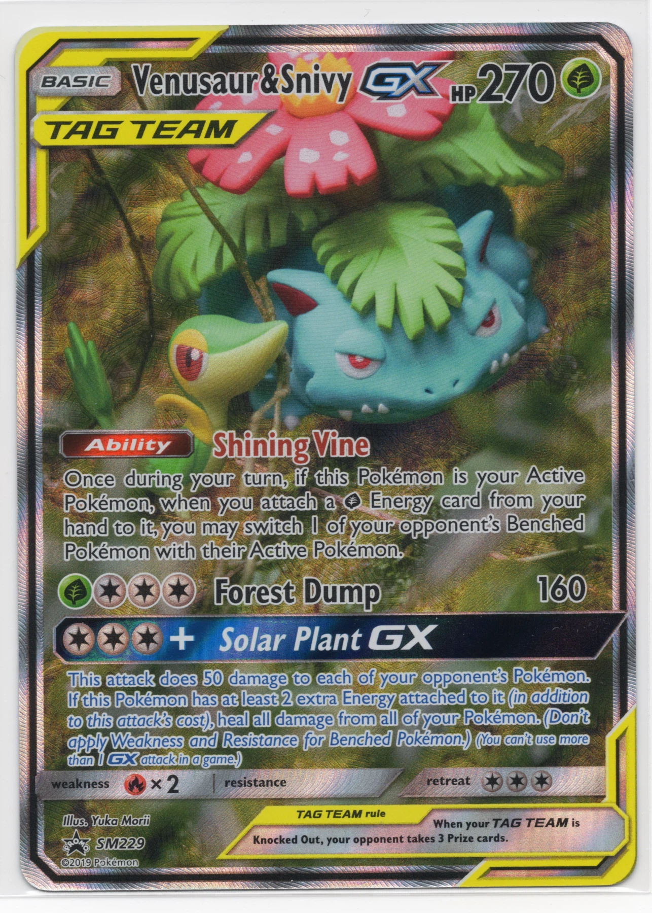 Venusaur & Snivy GX SM229/248 SM Black Star Promos front card photo in GradeValue pregrading report