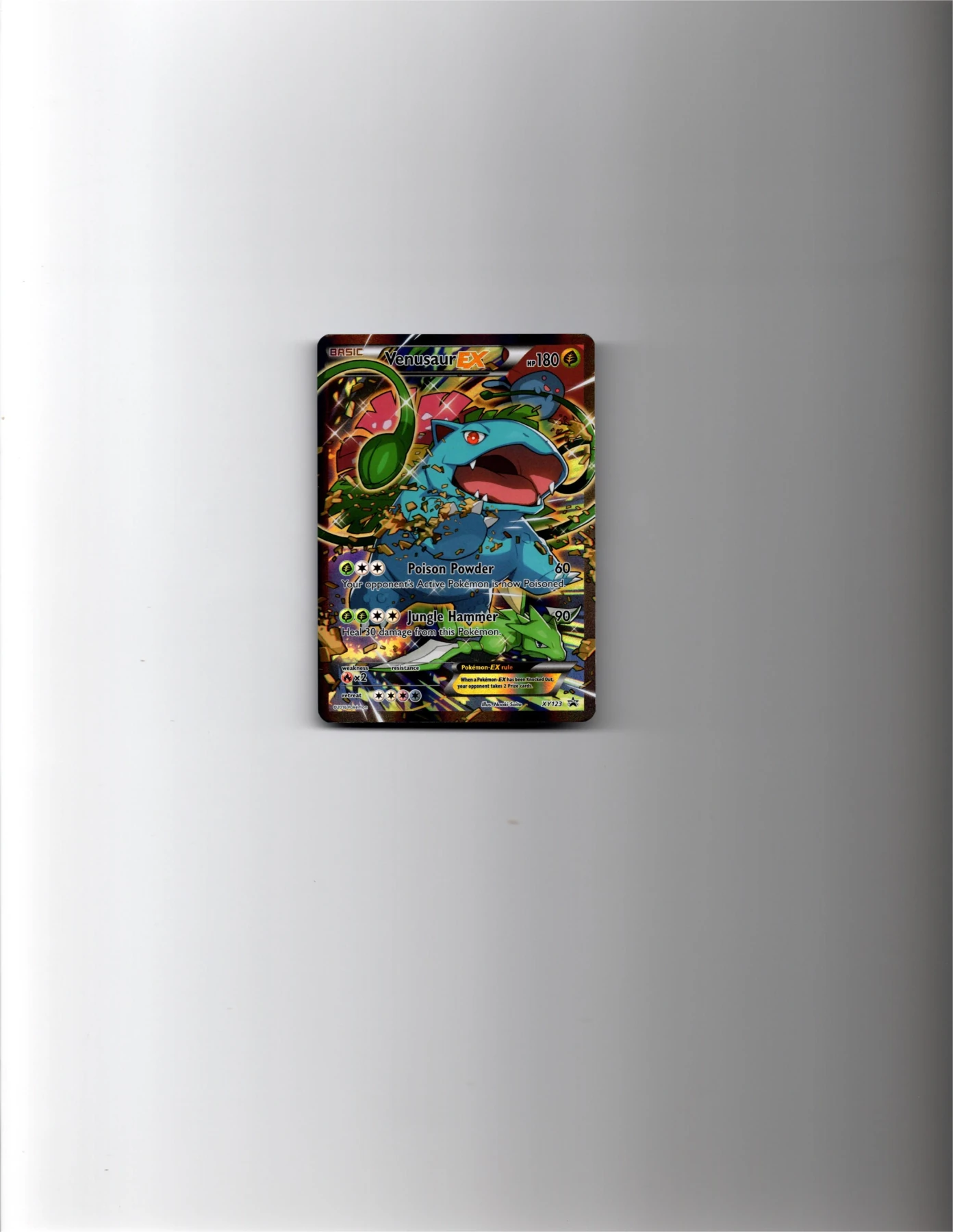 Venusaur EX XY123/211 XY Black Star Promos front card photo in GradeValue pregrading report