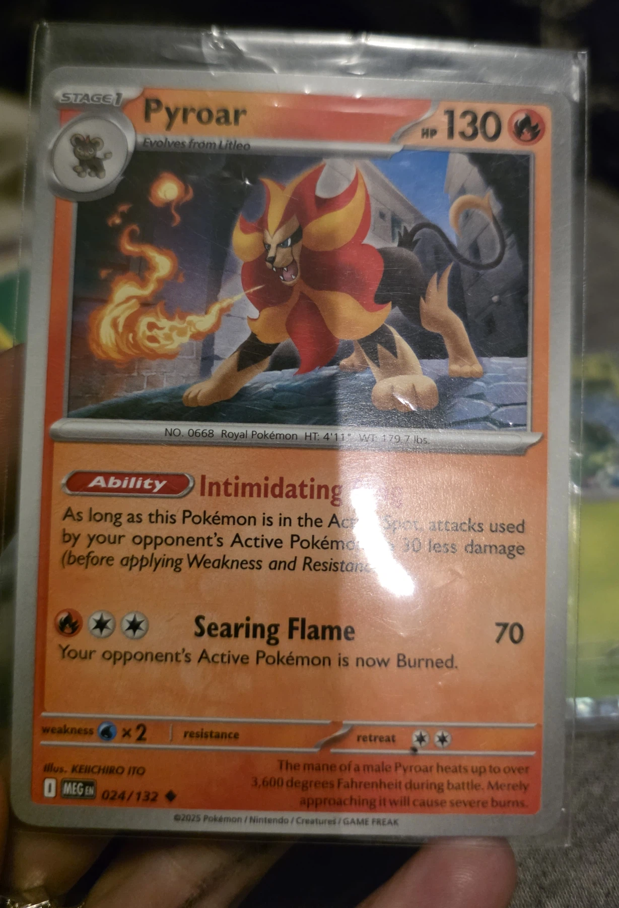 Pyroar 024/132 Mega Evolution front card photo in GradeValue pregrading report