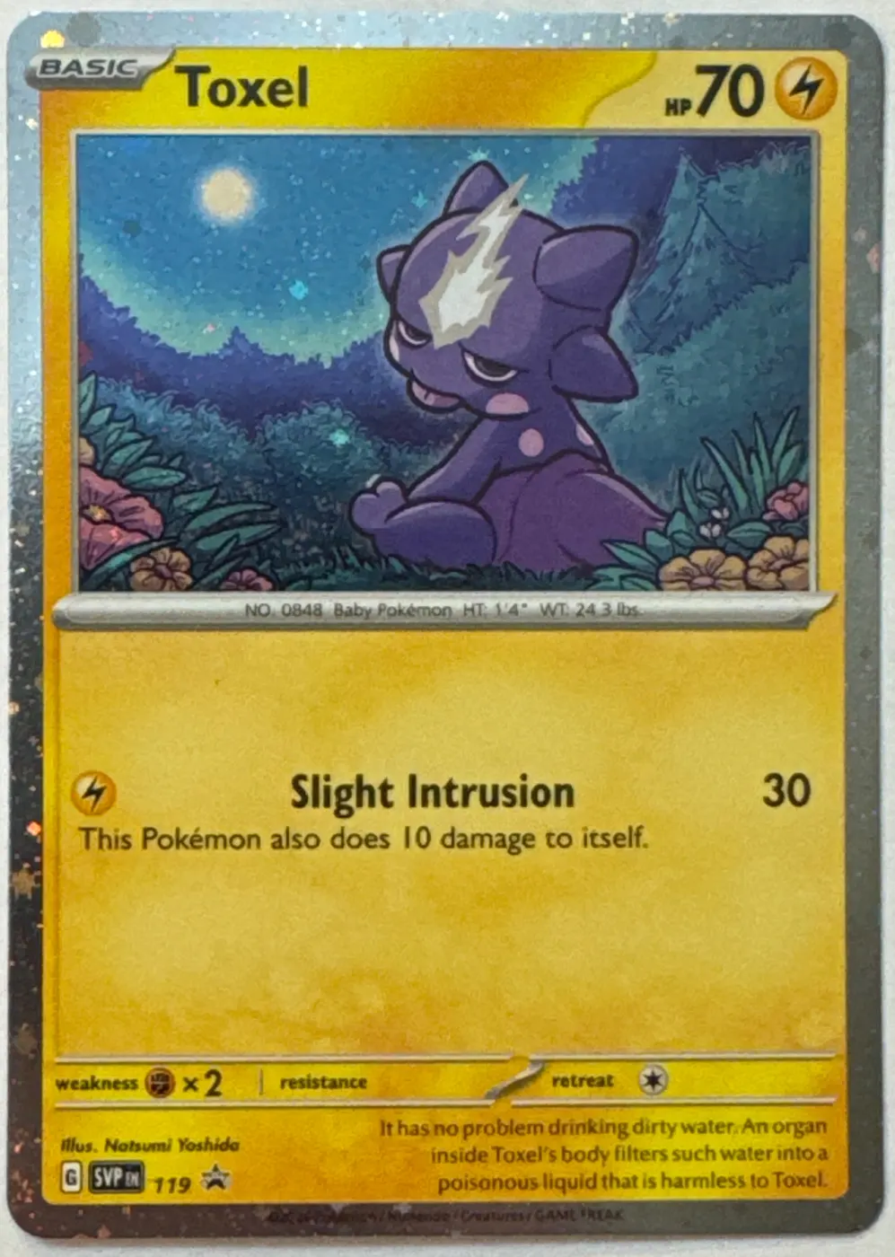 Toxel 119/225 SVP Black Star Promos front card photo in GradeValue pregrading report
