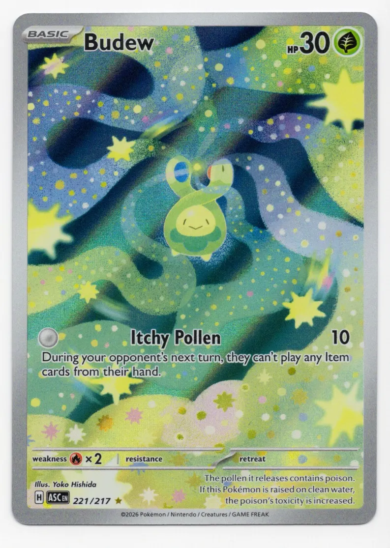 Budew 221/217 Ascended Heroes front card photo in GradeValue pregrading report