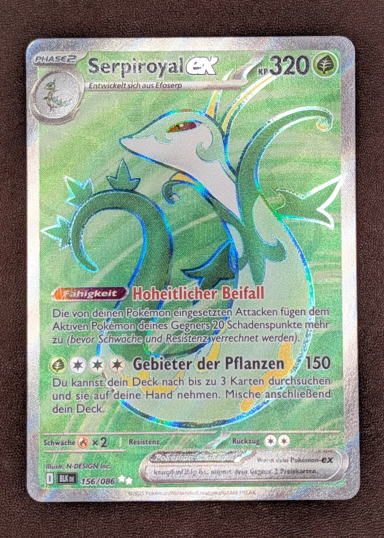 Serperior ex 156/86 Black Bolt front card photo in GradeValue pregrading report